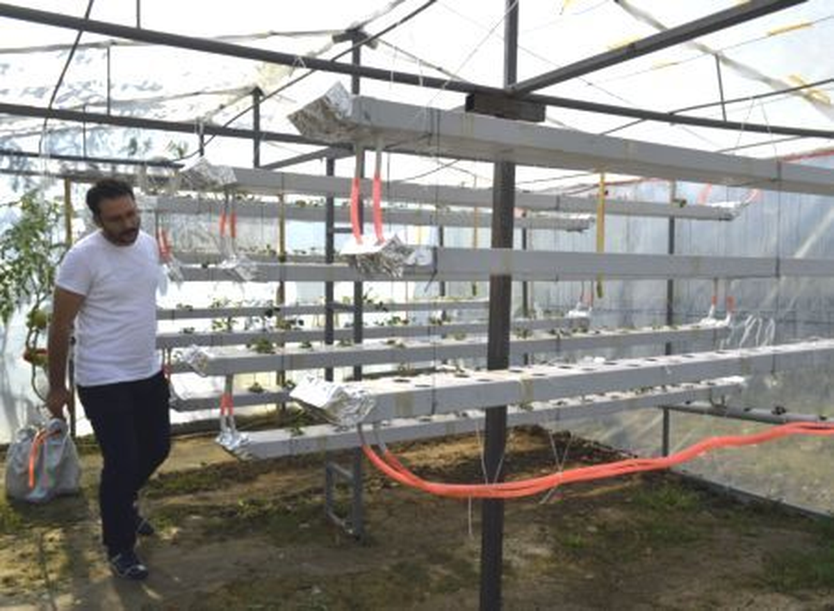 Fındık Kabuğundan Sulu Osmanlı Çileği Üretimi