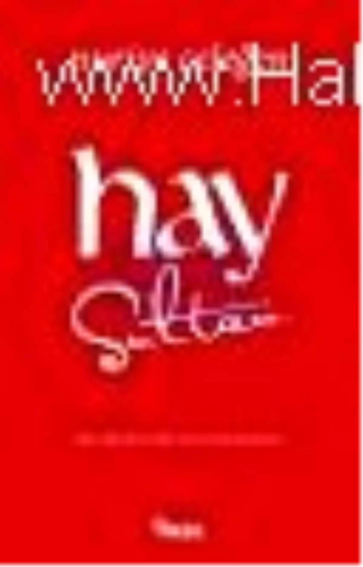 Hay Sultan - Bir Abdülkadir Geylani Romanı Çıktı