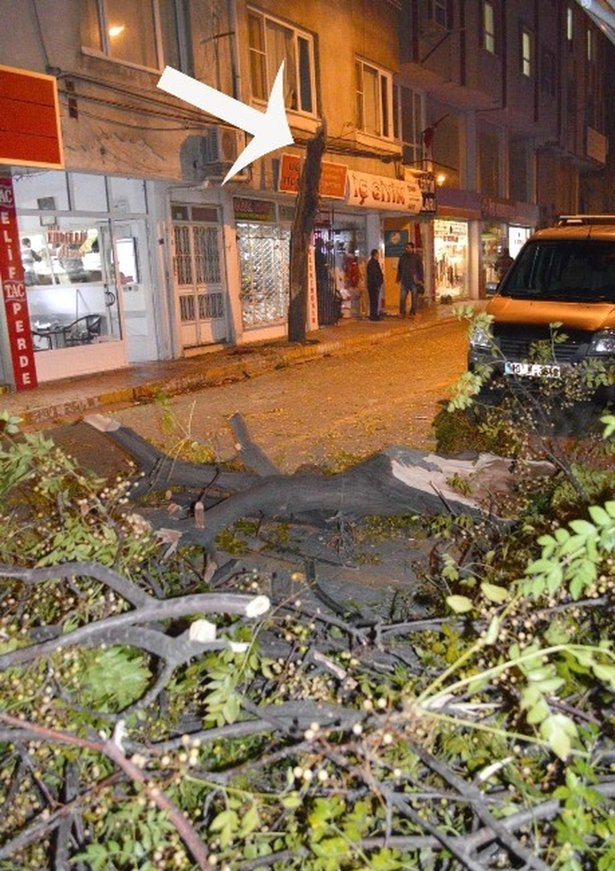 Kamyonet Ağacı Gövdesinden Kopardı