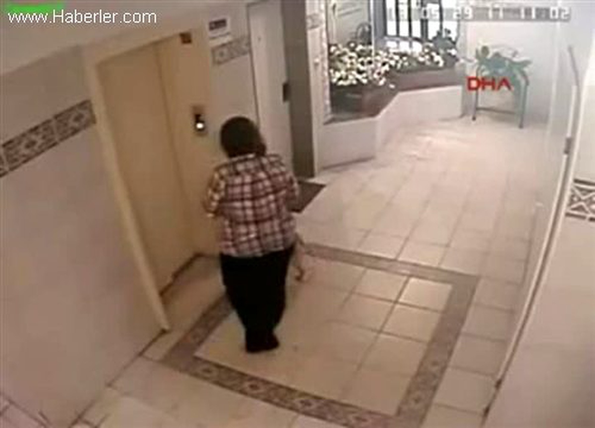 Kopan Tasma Köpeğin Hayatını Kurtardı...