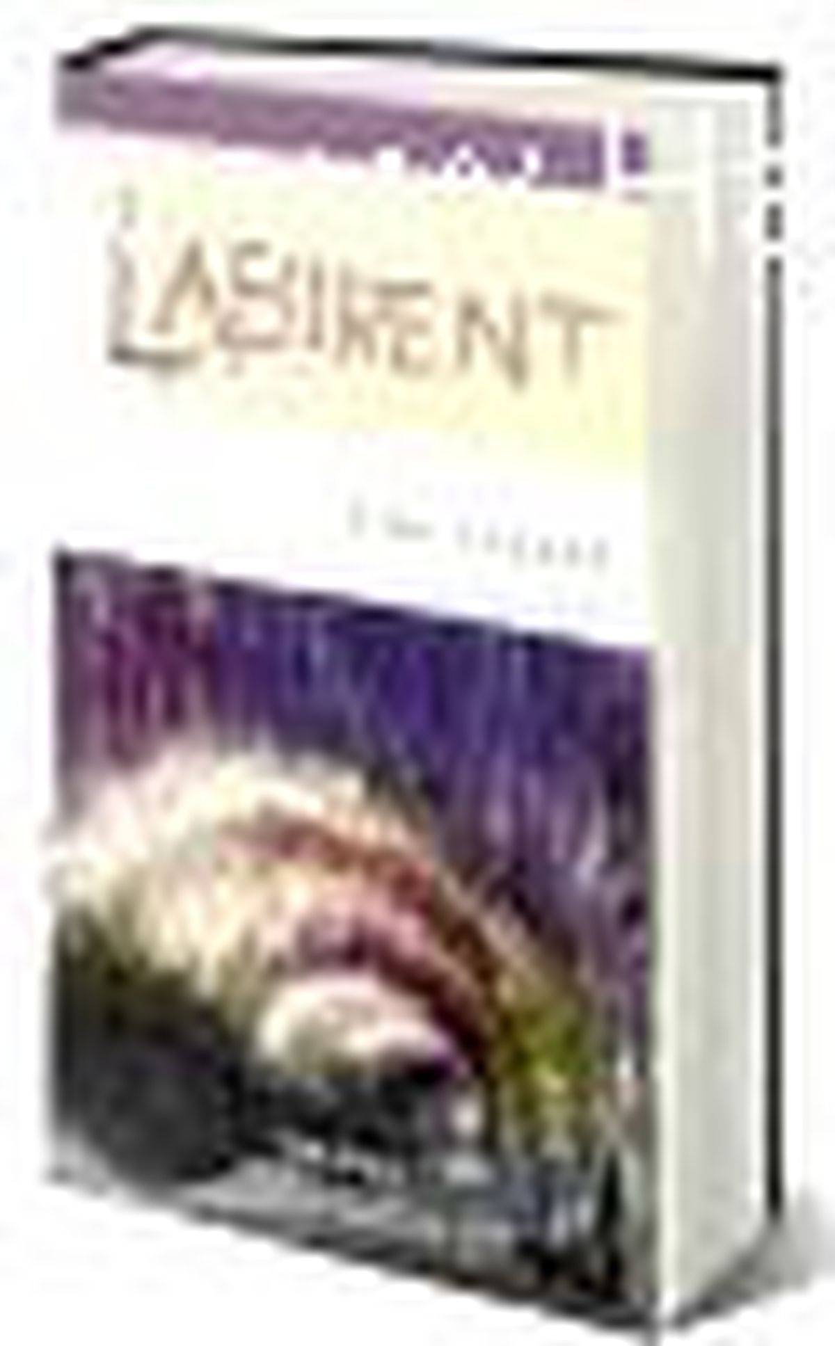 Labirent Kitabı Çıktı