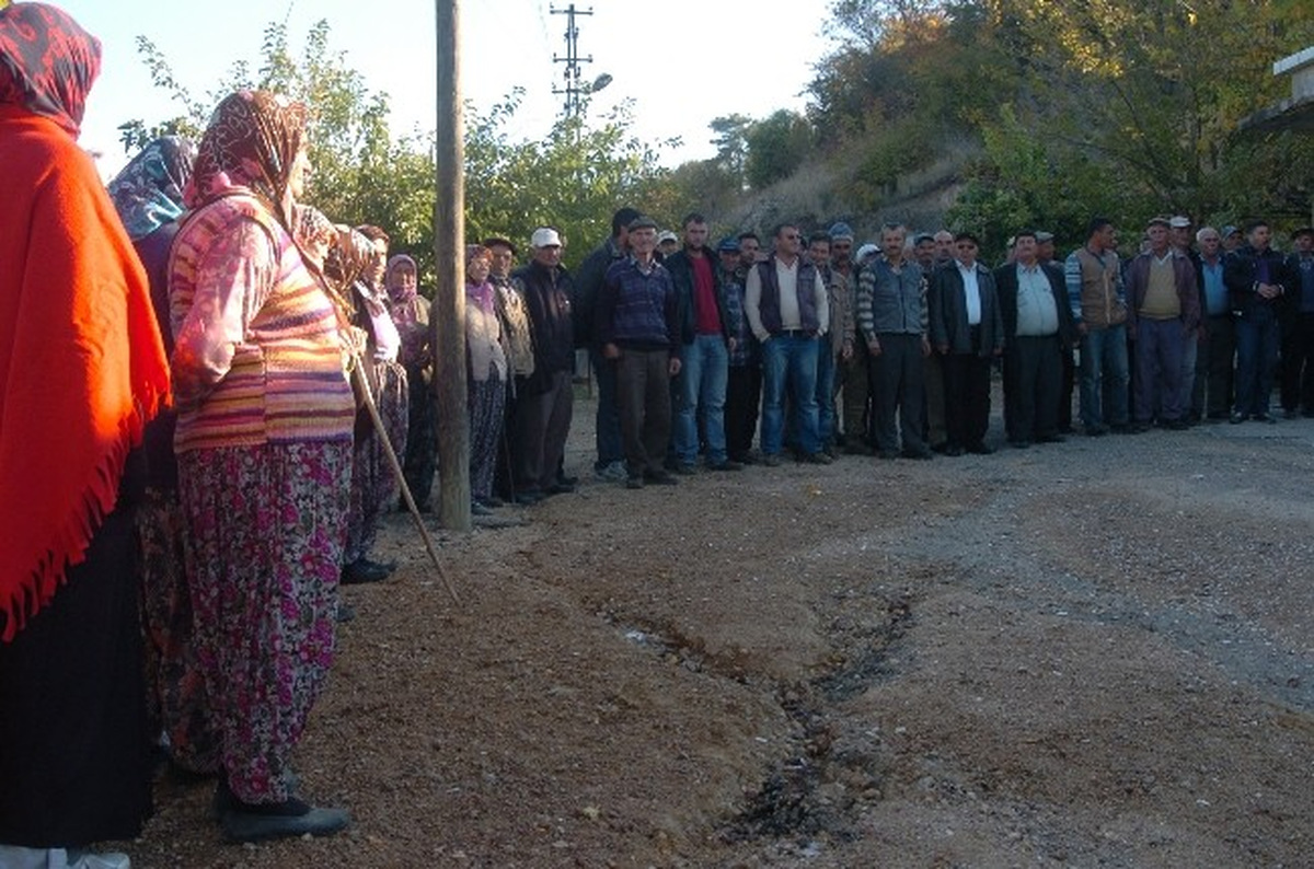 Maden Yolu İçin 760 Çam Ağacı Kesilince Köylüler Ayaklandı