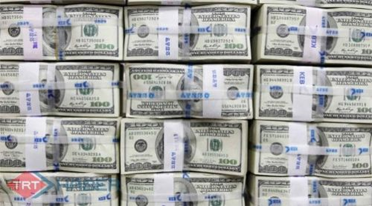 Merkez Bankası Rezervleri 132.7 Milyar Dolara Ulaştı