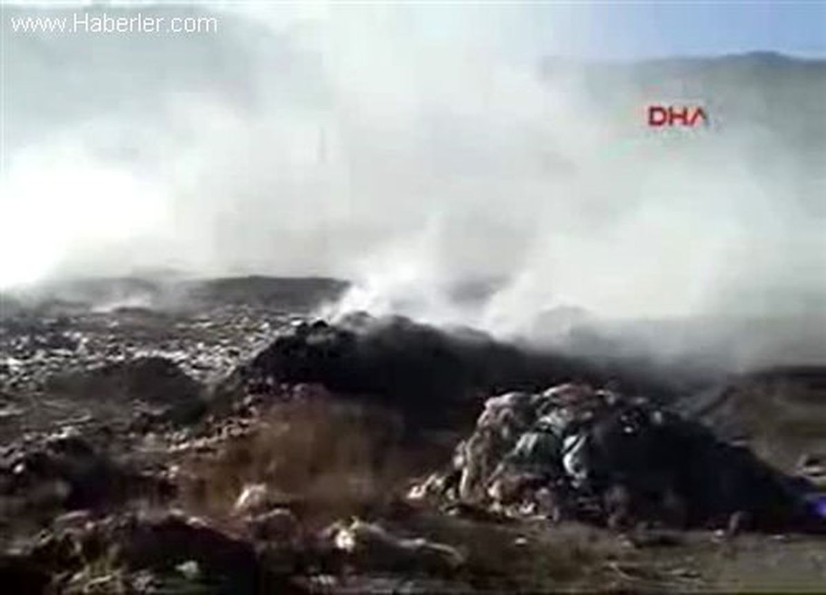 Muş\'un Çöplüğü Halkı Bezdirdi