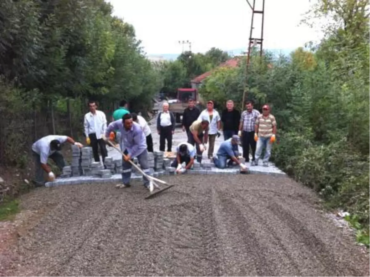 Nebioğlu'nda Parke Çalışmaları