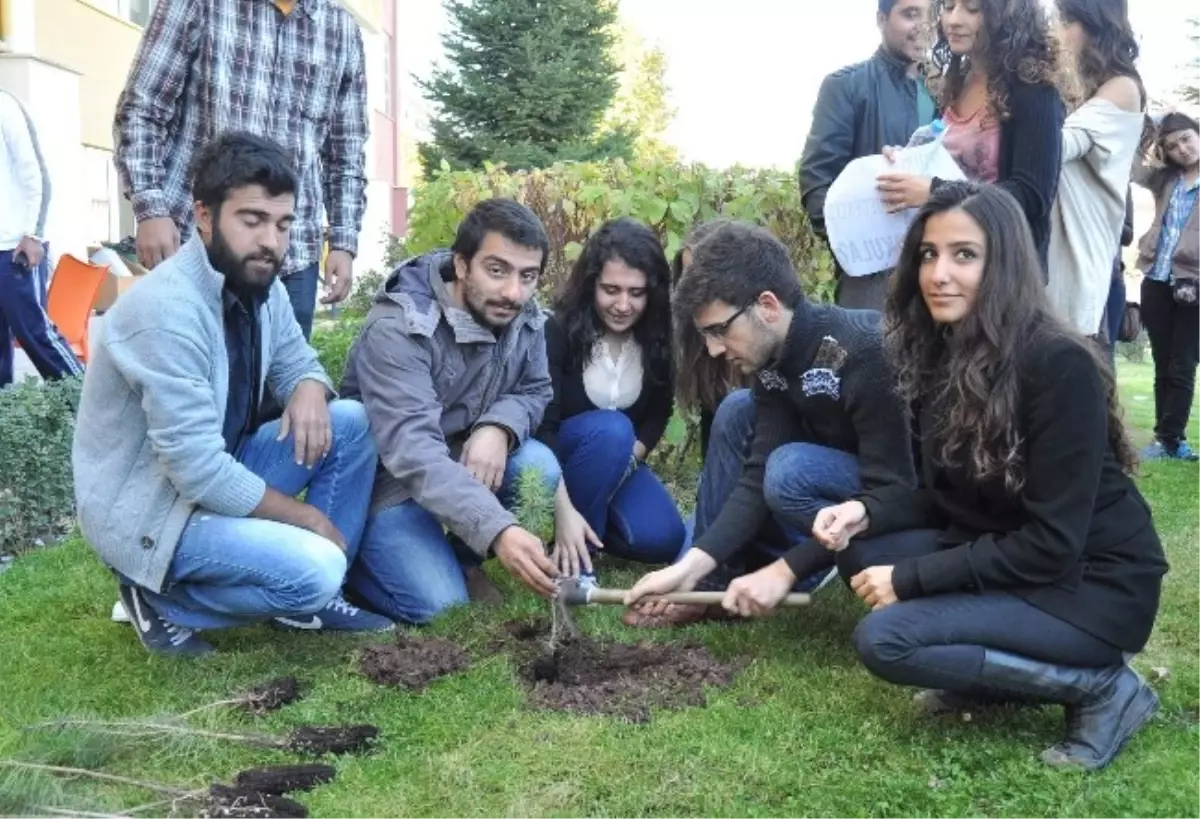 ODTÜ Olaylarını Protesto Eden Öğrenciler Fidan Dikti