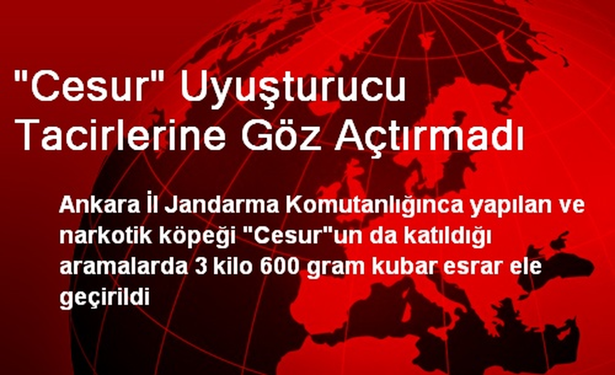 "Cesur" Uyuşturucu Tacirlerine Göz Açtırmadı