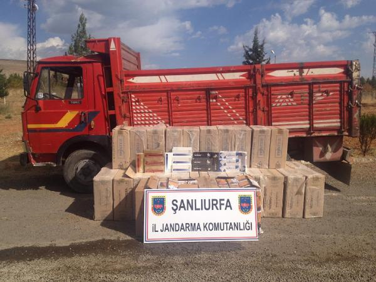 Şanlıurfa\'da 20 Bin Paket Kaçak Sigara Ele Geçirildi