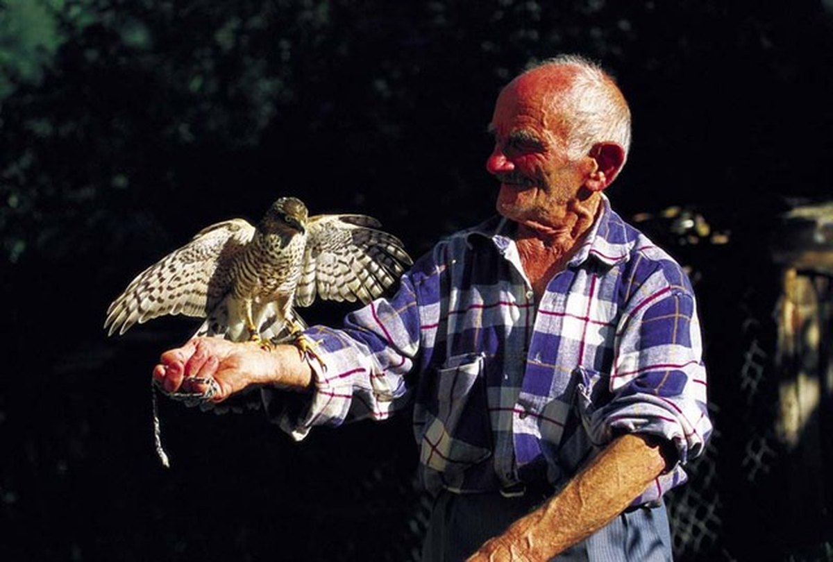 Vazgeçilmez Tutku: 'Atmacacılık'