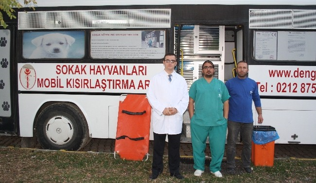 Vize Belediyesi Sokak Hayvanlarını Kısırlaştırıp, Aşılıyor