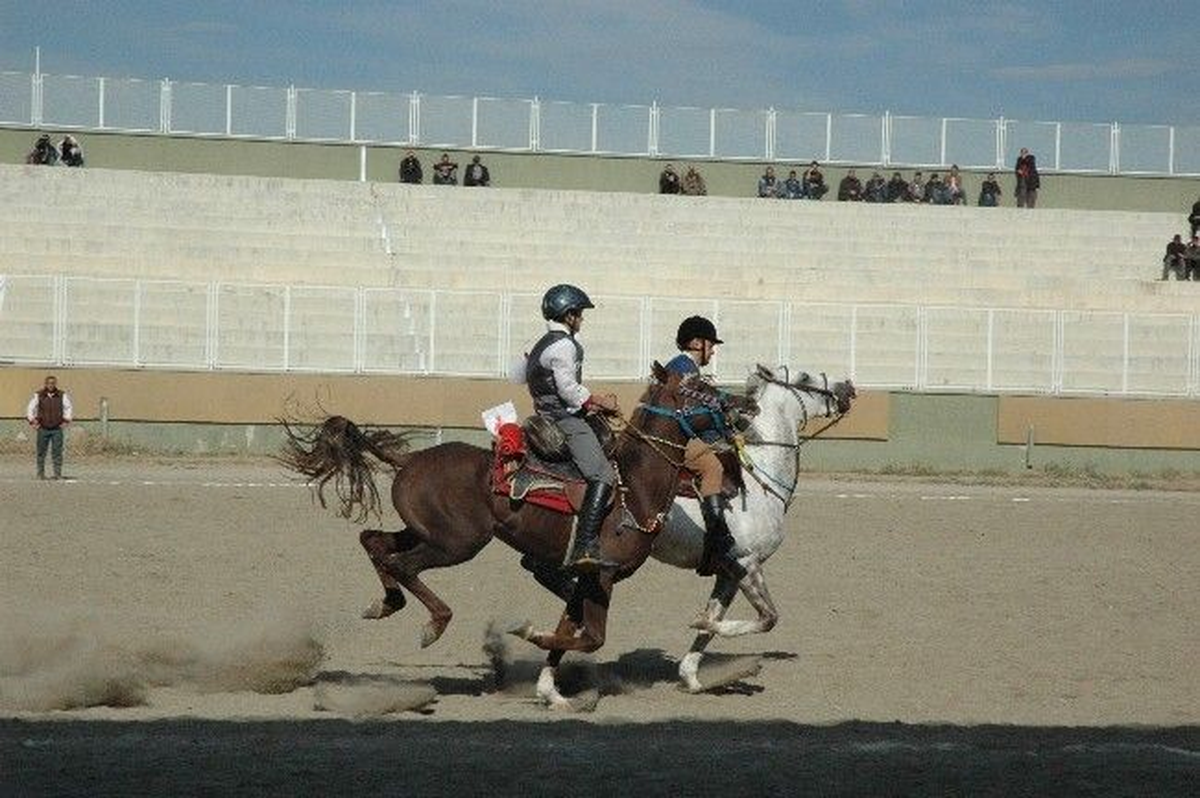 Atlı Cirit Türkiye Şampiyonası