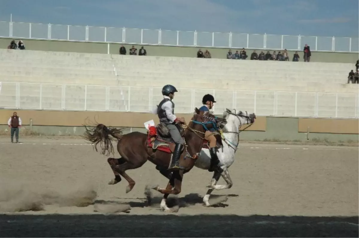 Erzurum\'da Atlı Cirit Türkiye Şampiyonası Heyecanı Sürüyor