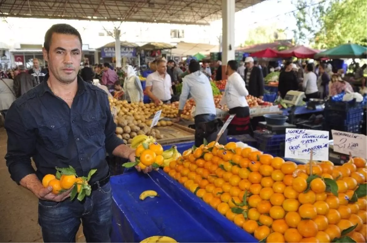 Gümüldür Mandalinası Büyük İlgi Görüyor