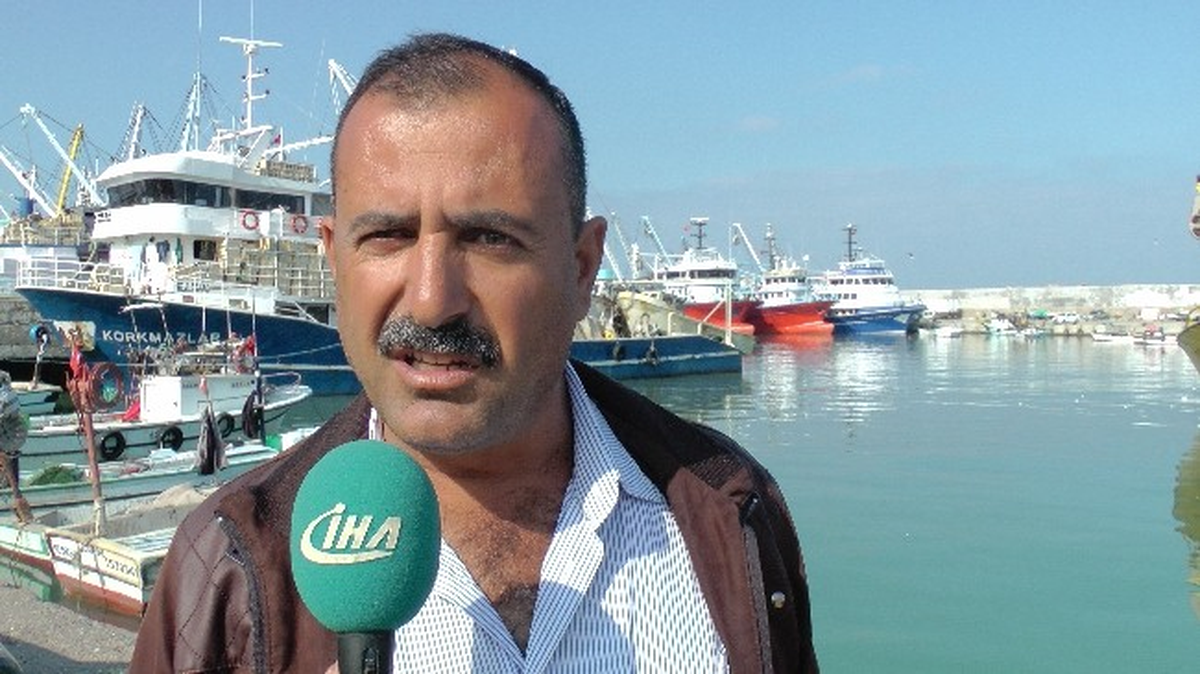 Karadeniz\'den Hamsi Fışkırıyor