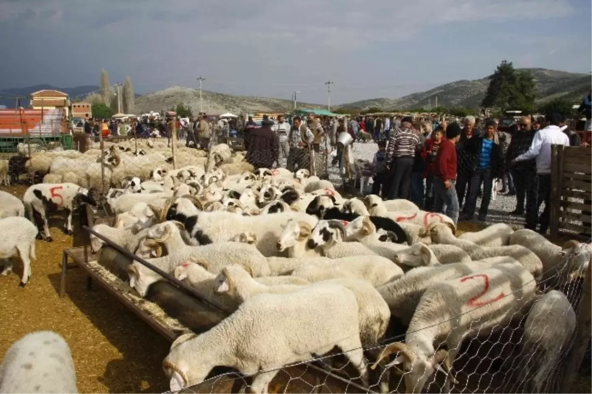 Kurbanlıklar Bu Yıl Geri Dönmedi