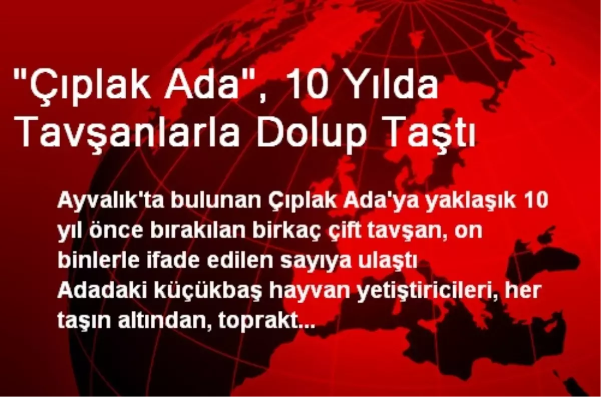 "Çıplak Ada", 10 Yılda Tavşanlarla Dolup Taştı