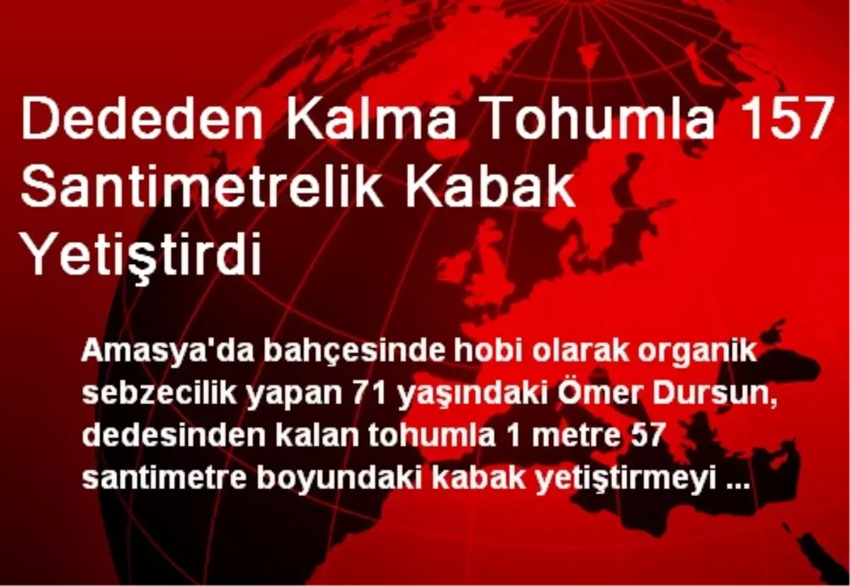 Dededen Kalma Tohumla 157 Santimetrelik Kabak Yetiştirdi