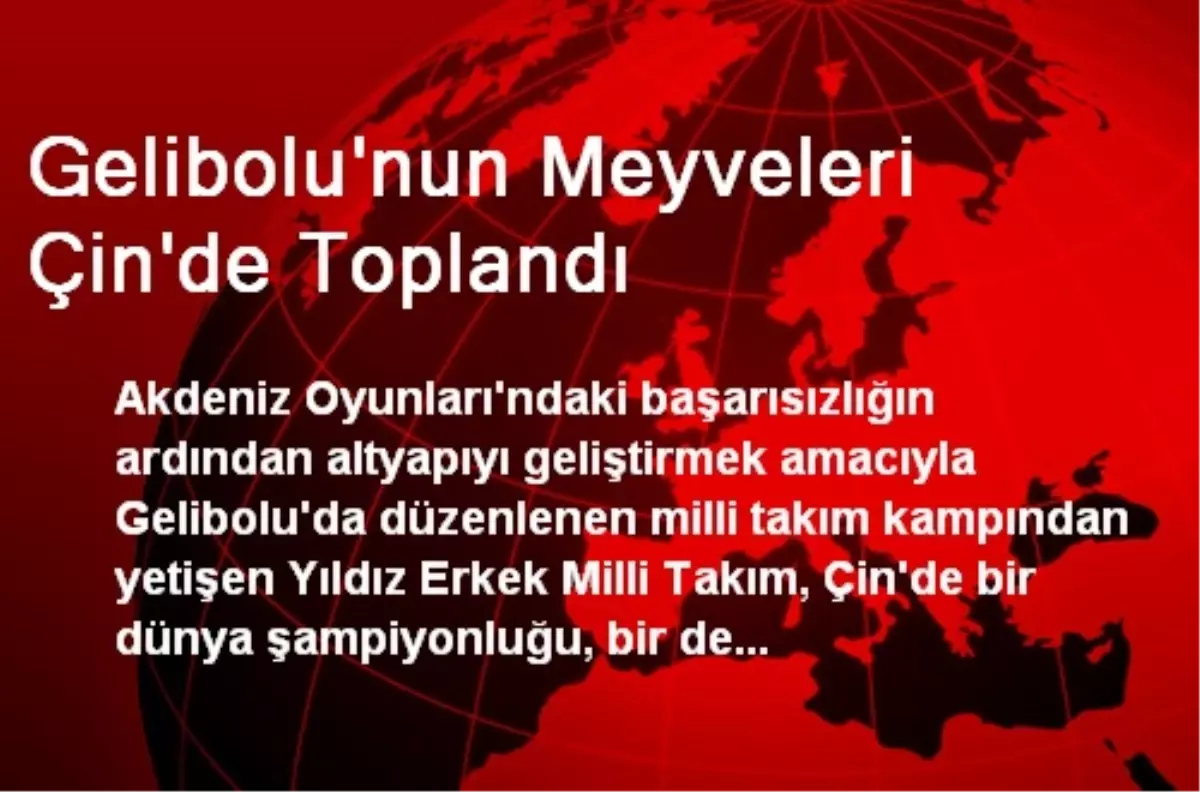 Gelibolu\'nun Meyveleri Çin\'de Toplandı