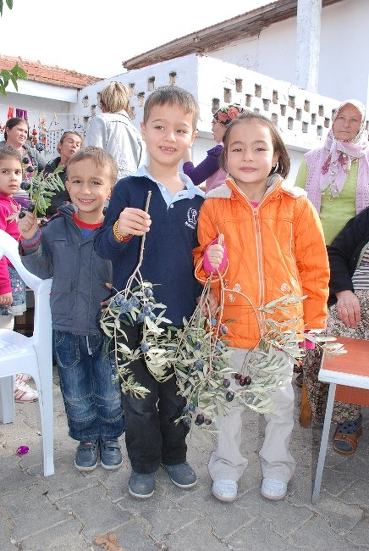 Saipler Zeytin Festivaline Hazırlanıyor