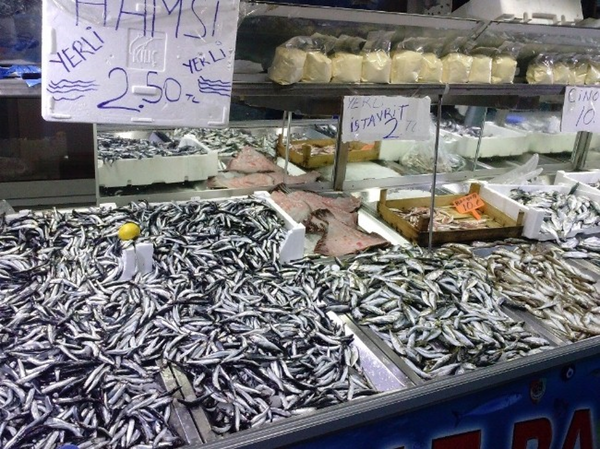 Balık Bolluğu Fiyatları Düşürdü