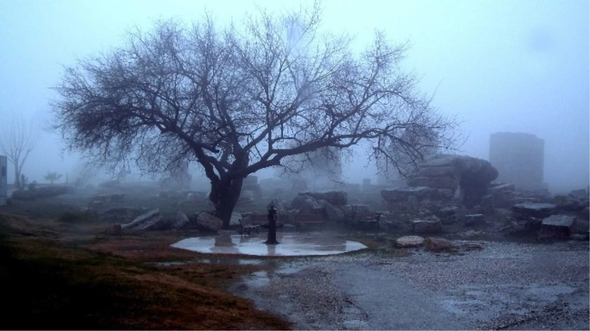 Kuşadası 3. Ulusal Fotoğraf Yarışması Sonuçlandı