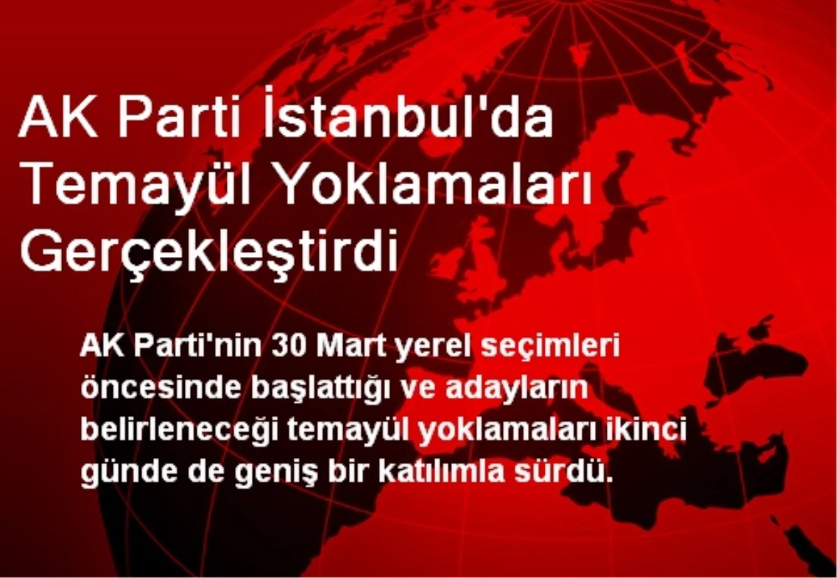 AK Parti İstanbul\'da Temayül Yoklamaları Gerçekleştirdi