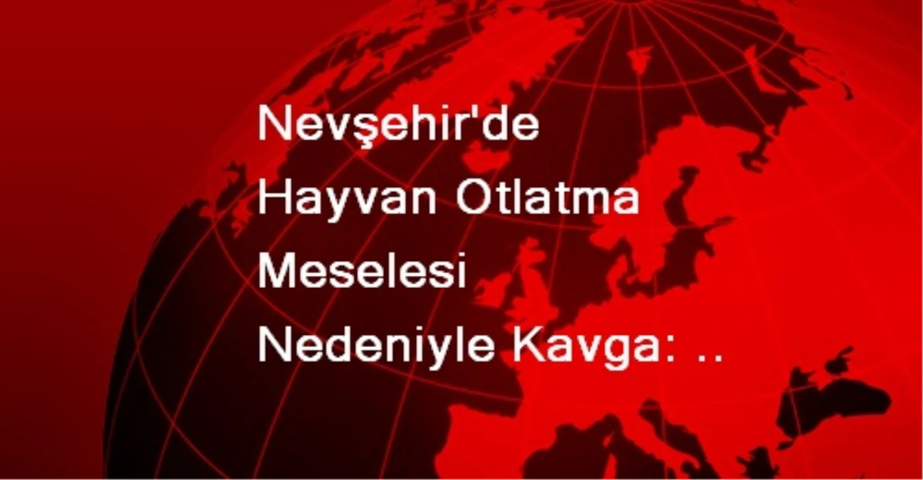Nevşehir\'de Hayvan Otlatma Meselesi Nedeniyle Kavga: 1 Ölü