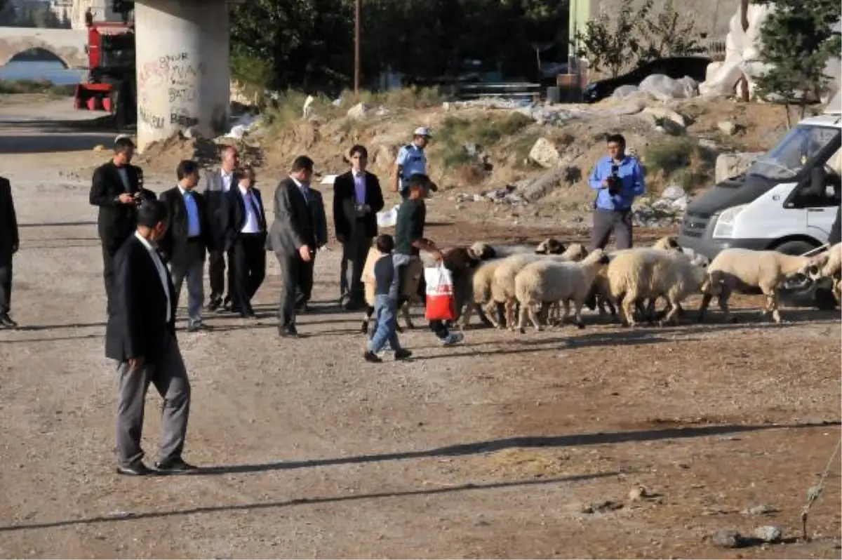 Adana Valisi Sohbet Etmek İstedi, Celepler Kaçtı
