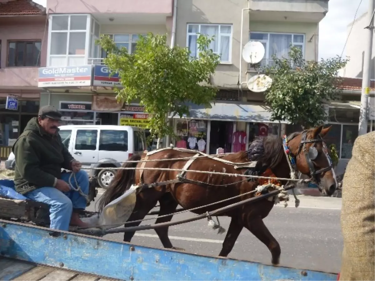 At Arabacıları İş İstiyor