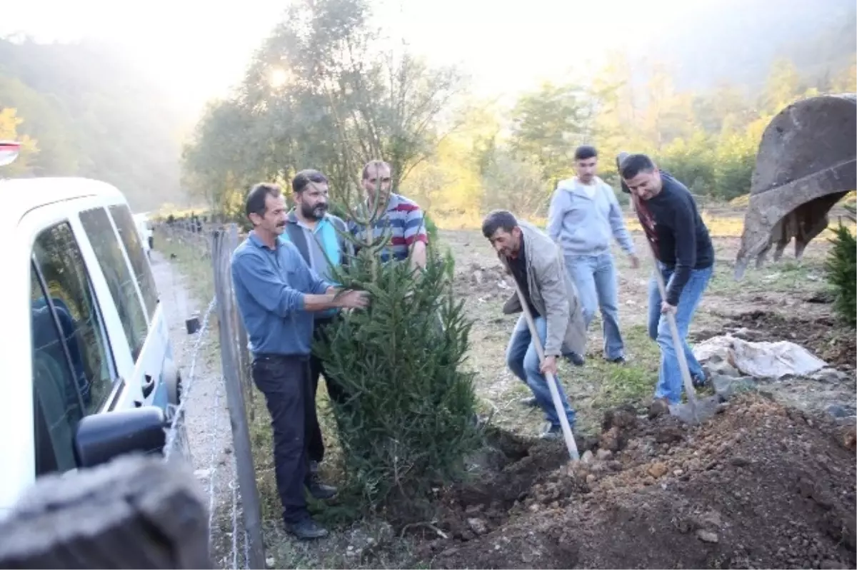 Kumru Emniyetinden Fidan Dikme Seferberliği