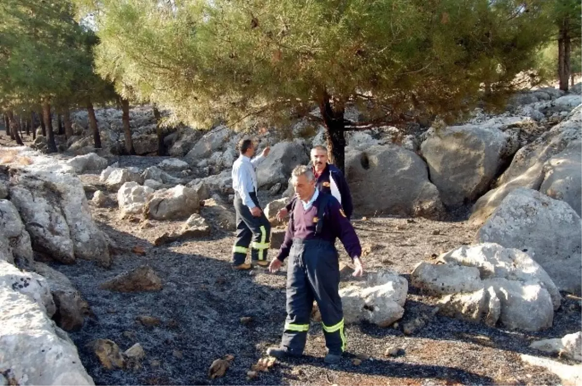 Adıyaman\'da Ormanlık Alanda Yangın Çıktı