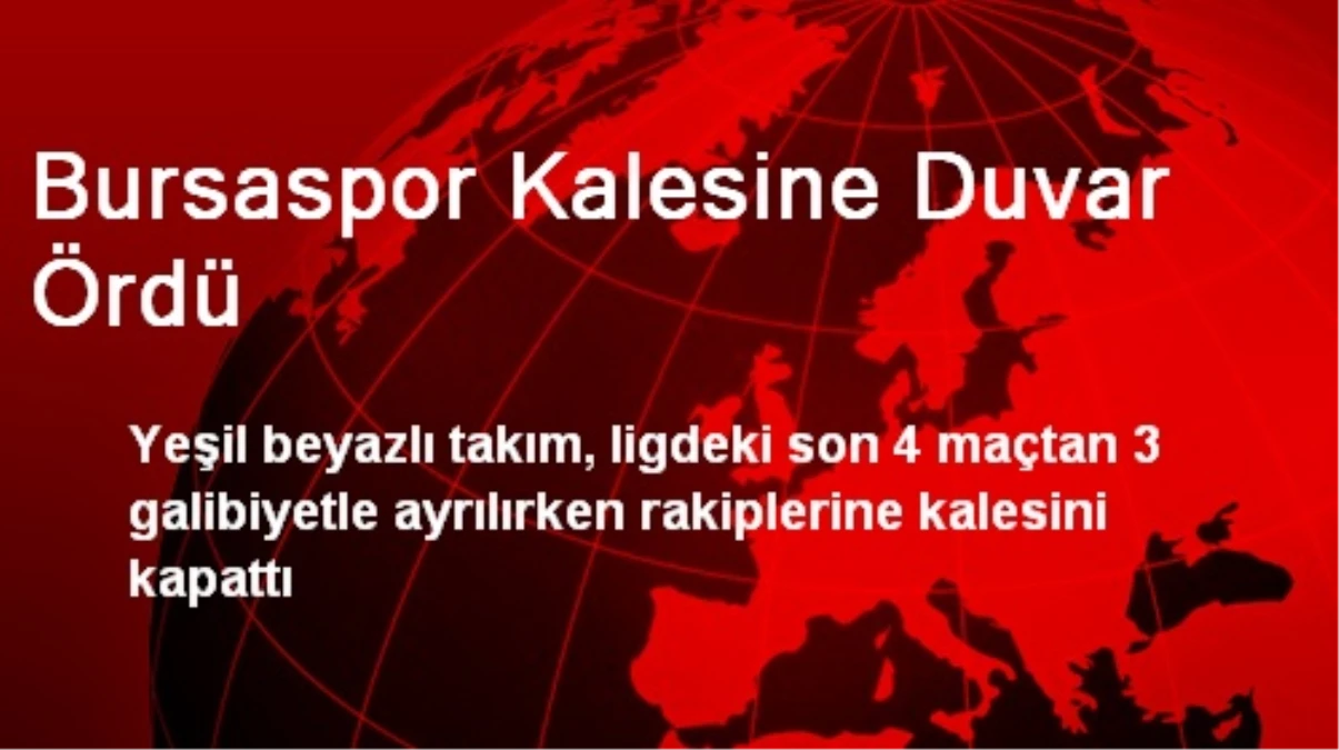 Bursaspor Kalesine Duvar Ördü