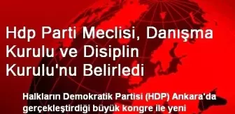 Hdp Parti Meclisi, Danışma Kurulu ve Disiplin Kurulu'nu Belirledi