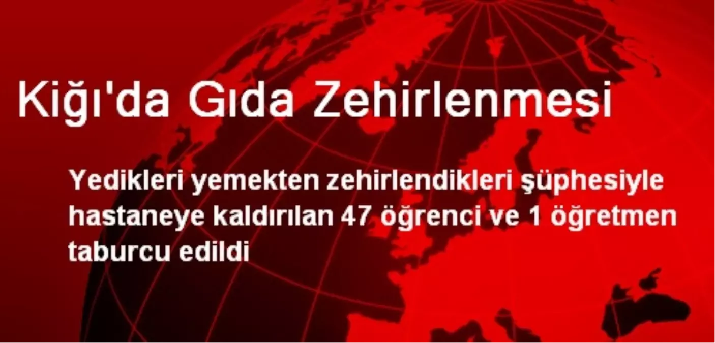 Kiğı\'da Gıda Zehirlenmesi