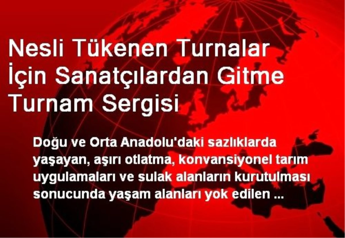 Nesli Tükenen Turnalar İçin Sanatçılardan Gitme Turnam Sergisi