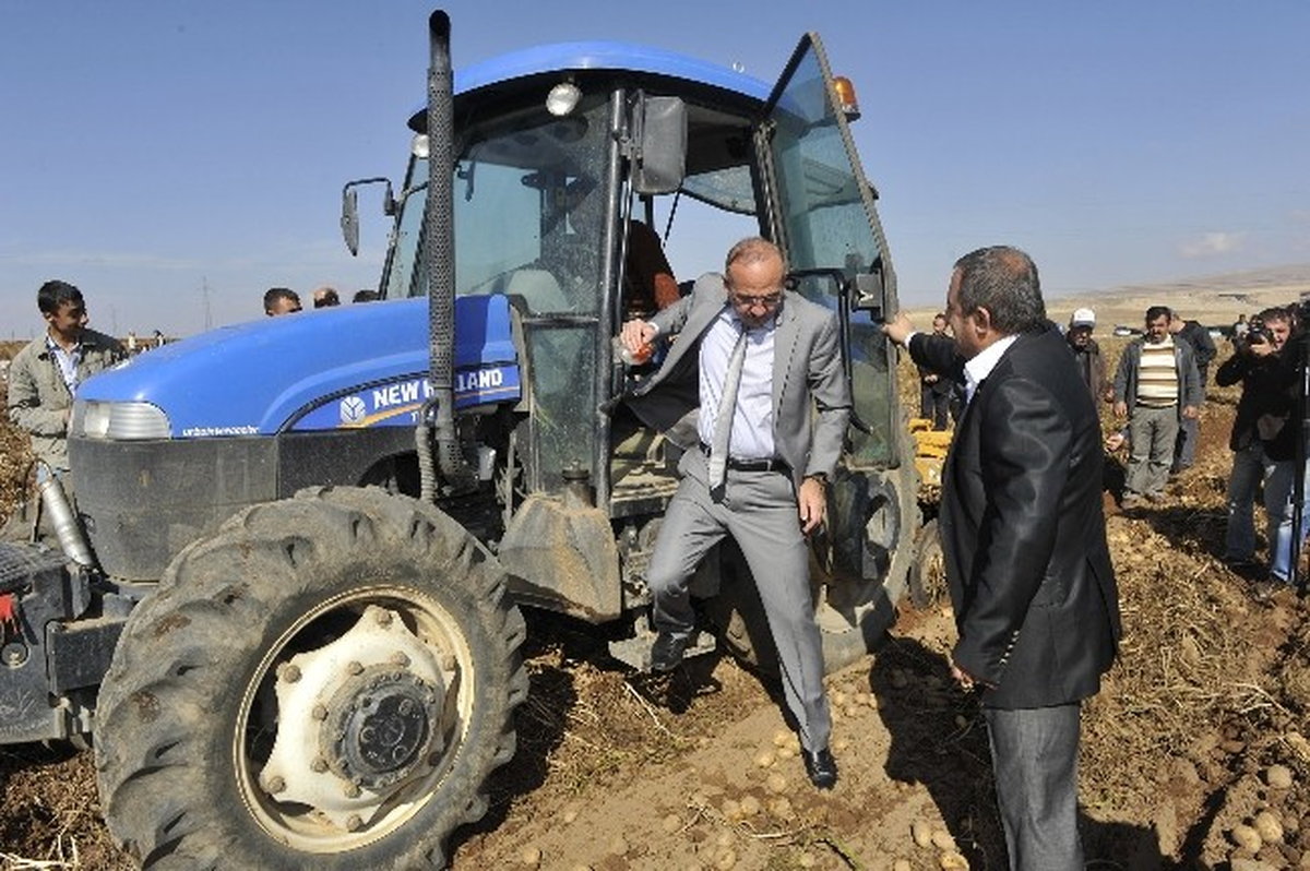 Vali Yurdakul, Ahlat\'ta Patates Hasadına Katıldı