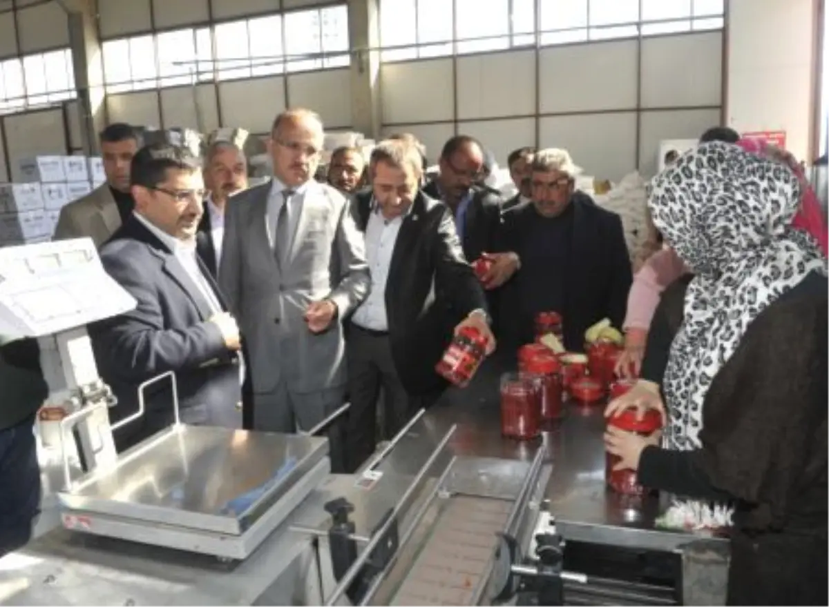 Vali Yurdakul Ahlat\'ta Salça Fabrikasını İnceledi
