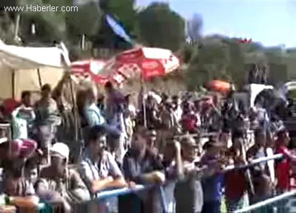 Boğalar Çeşme İçin Güreşti