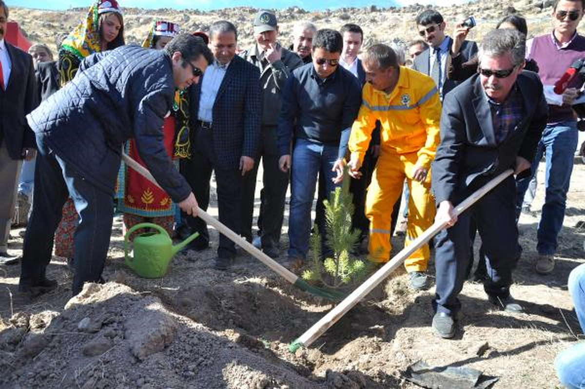 Cumhurbaşkanı Gül\'ün Doğum Gününde Fidan Dikildi