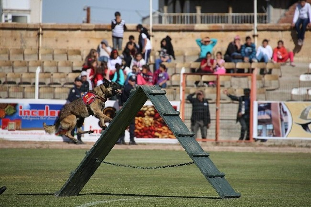 Cumhuriyet Bayramı Nevşehir\'de Coşkuyla Kutlandı
