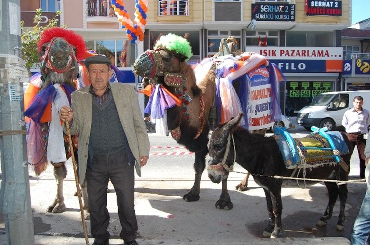 Develer Kapaklıların İlgi Odağı Oldu