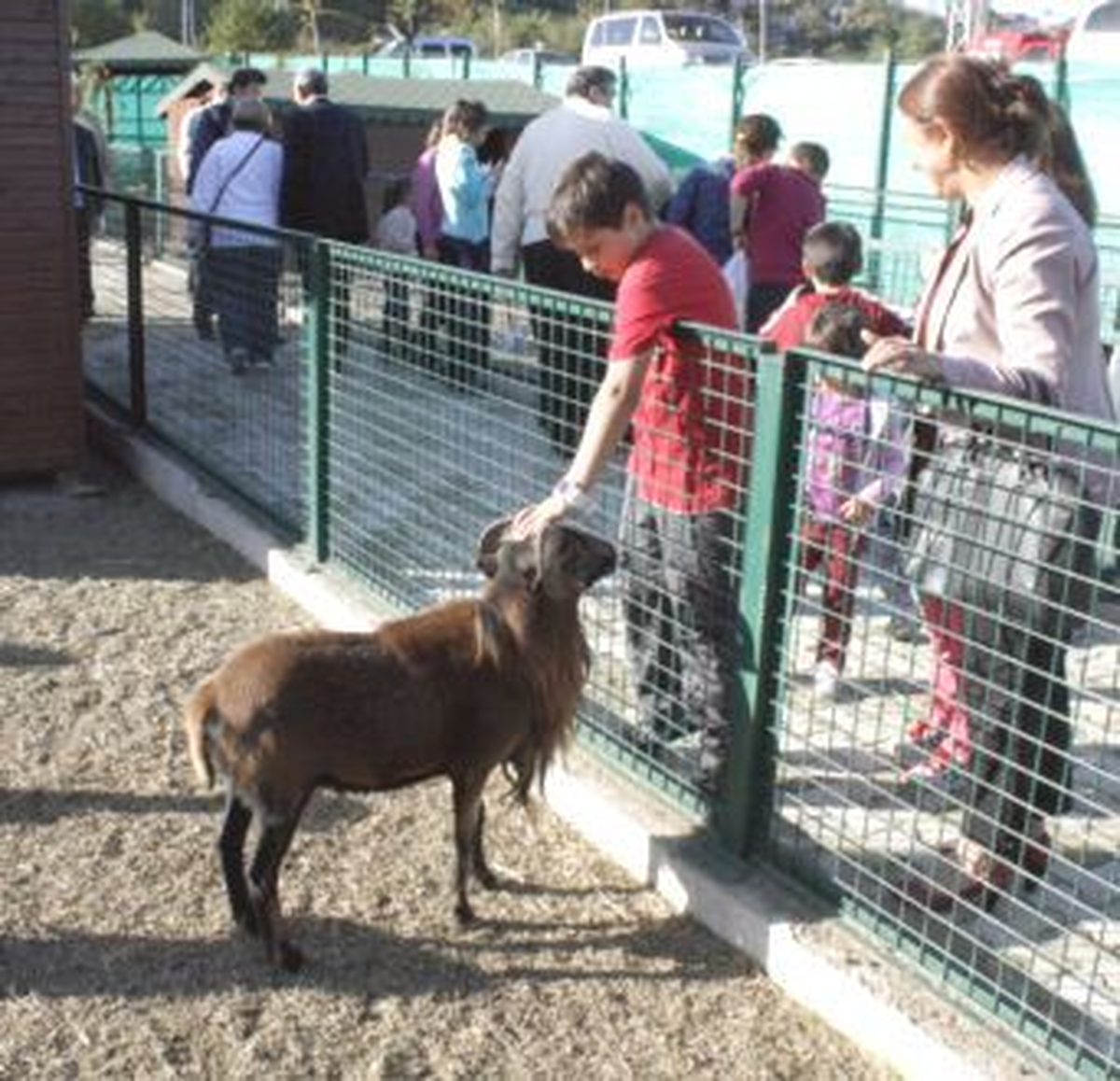 Giresun'da Hayvanat Bahçesi Açıldı