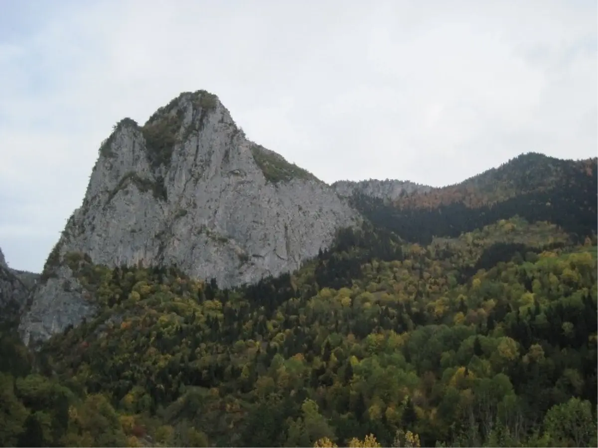 Deve Hanı Kültür Sanat Merkezi\'nde Ersizlerdere Tanıtılıyor