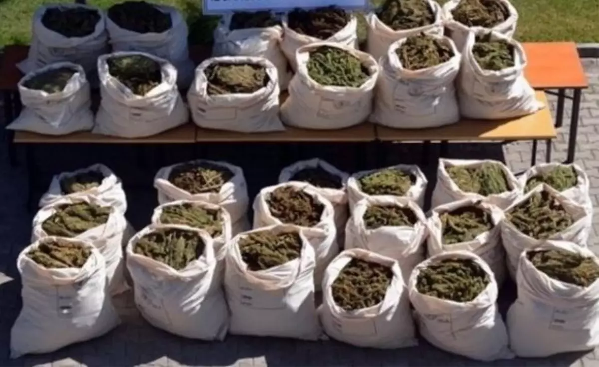 Diyarbakır'da Esrar Operasyonu