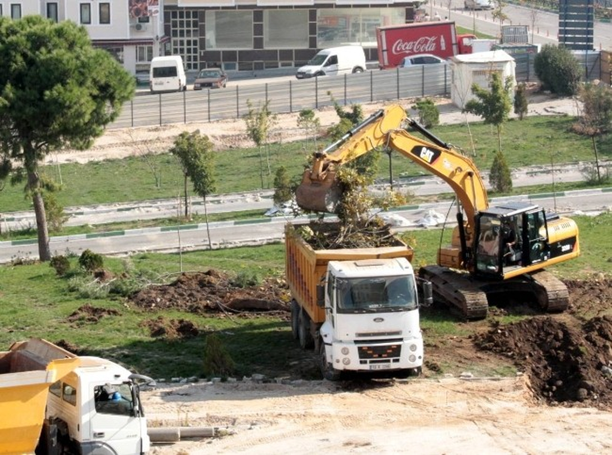 Doğanbey\'de Fidan Katliamı