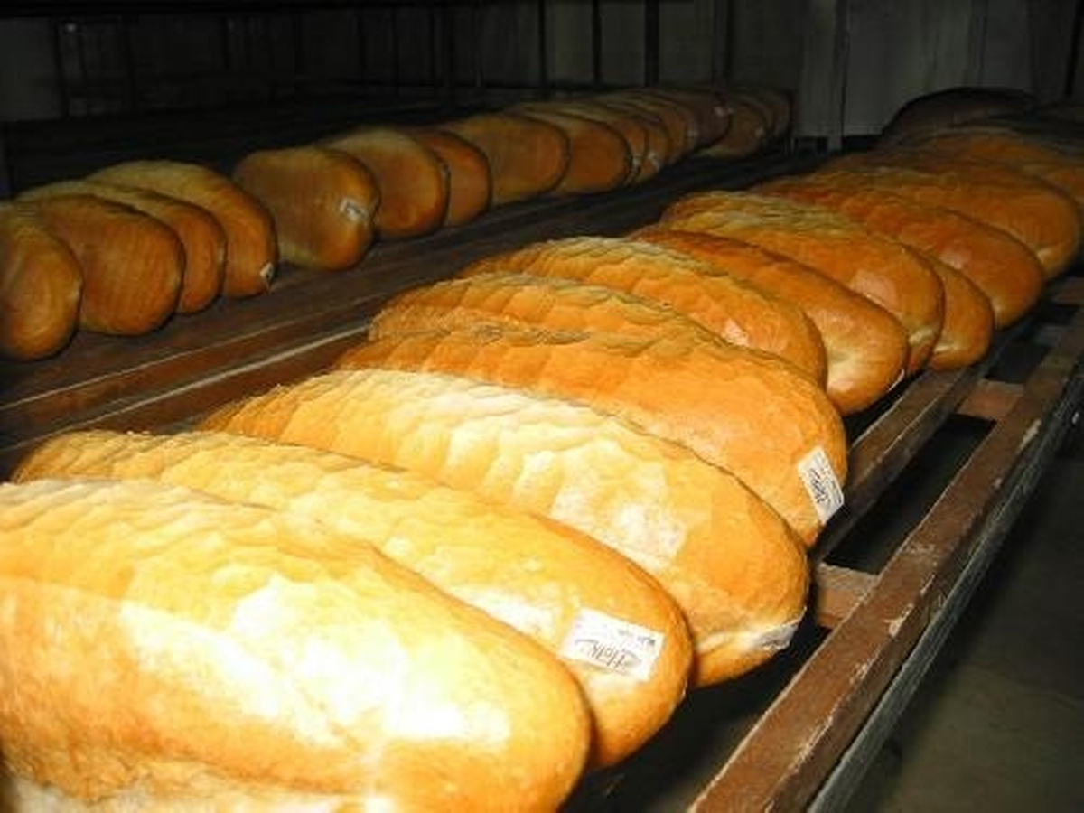 Doğubayazıtlı, Ekmek Zammına Karşı Örgütleniyor