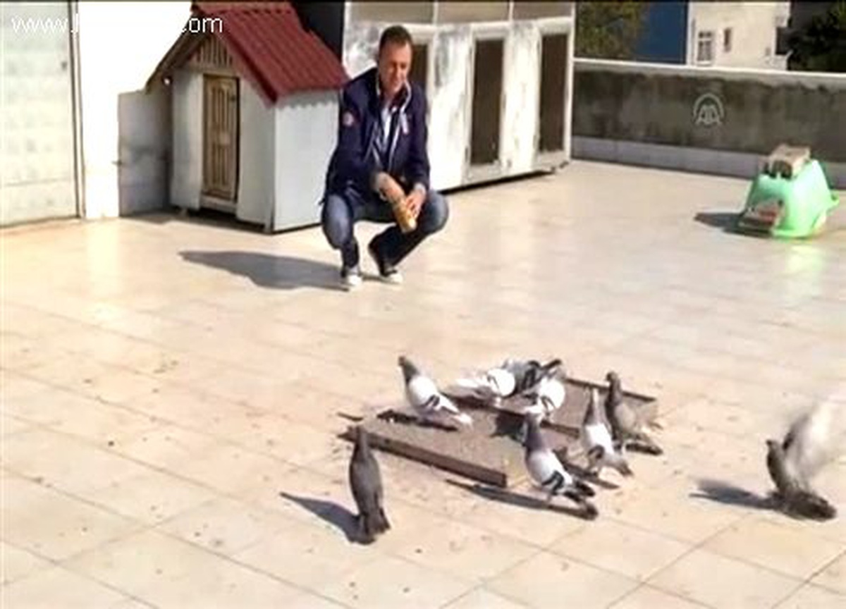Eski milli futbolcunun güvercin tutkusu
