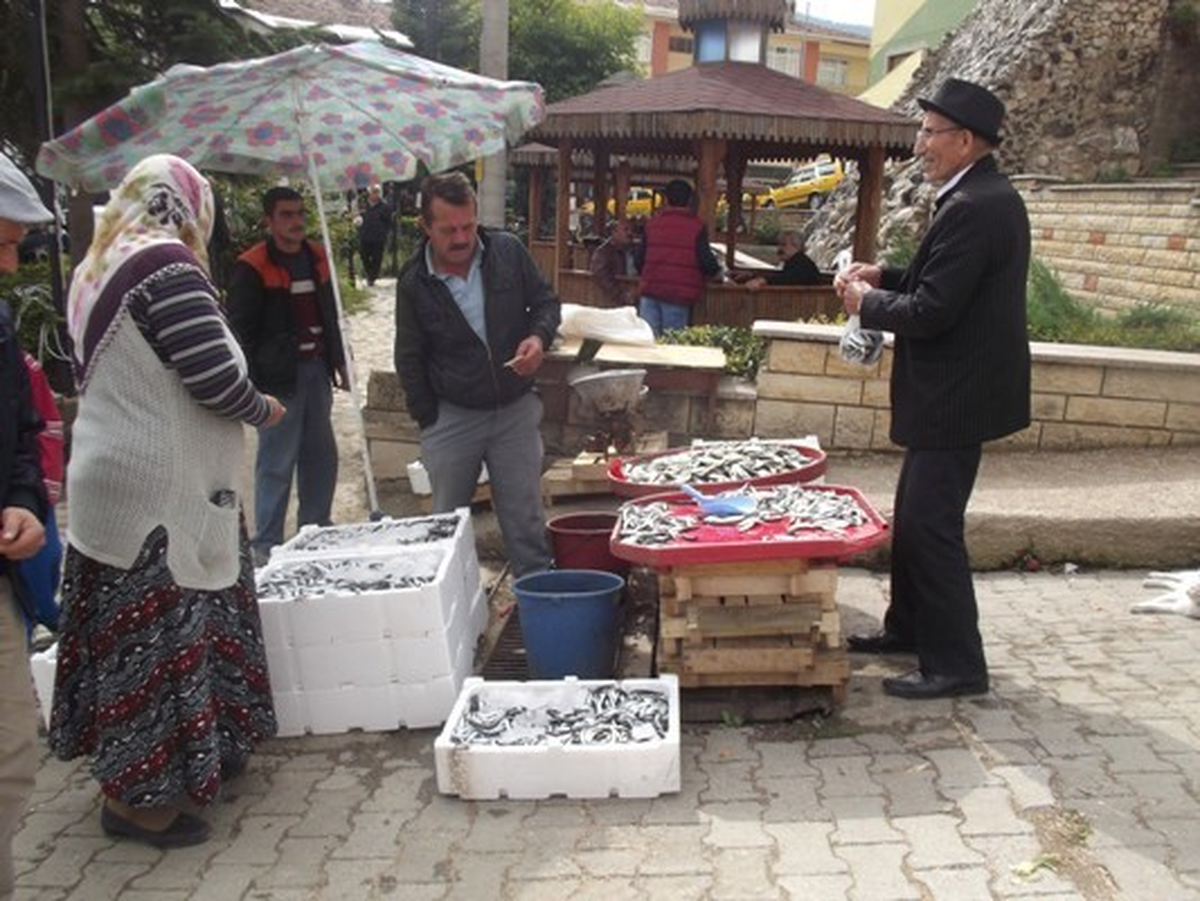 Küre\'de Bir Ton Hamsi Satıldı