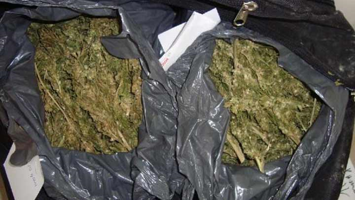 Mardin\'de 50 Kilogram Esrar Ele Geçirildi