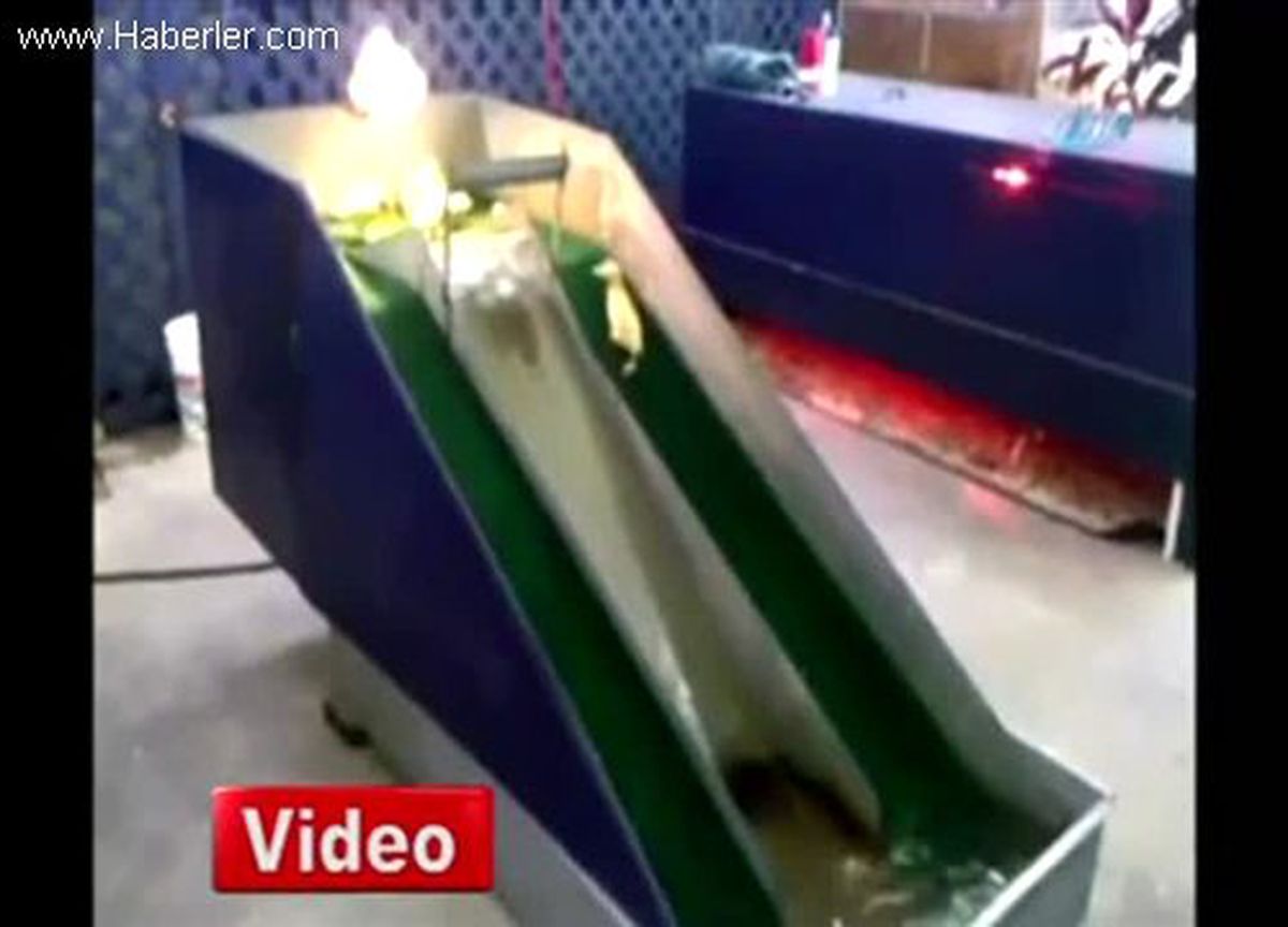 Ördeklerin Su Kayağı Keyfi